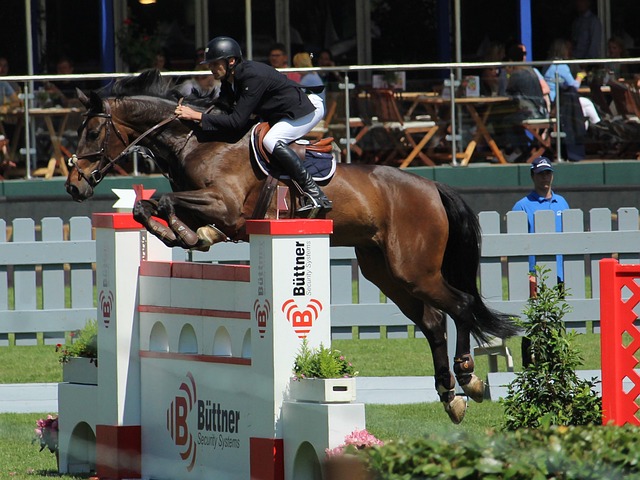 金州勇士队 金州勇士队