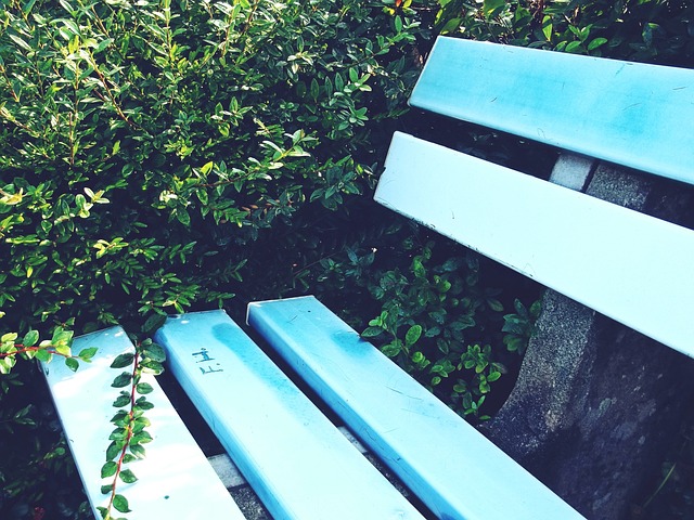 的传球数据 的传球数据