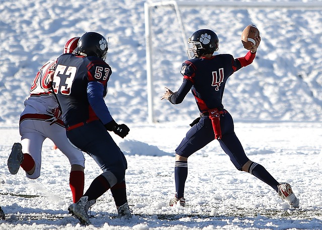 带来了独特 带来了独特