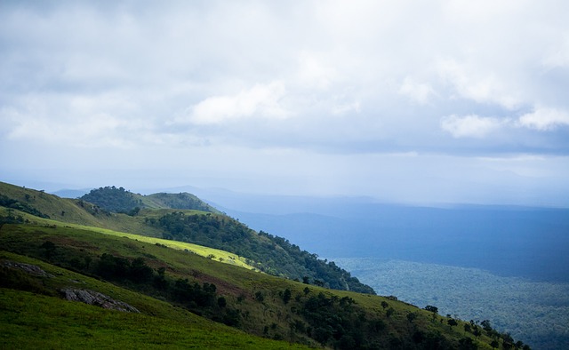 也极大地增 也极大地增