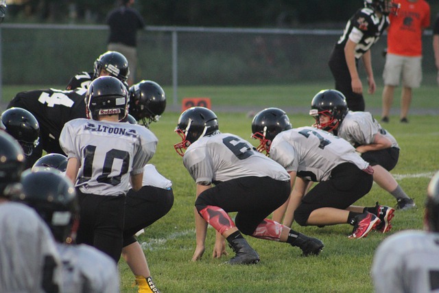 再度成为国 再度成为国