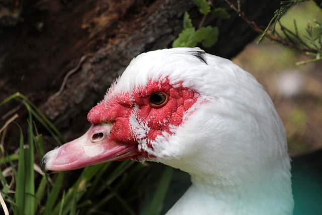 的人才井喷 的人才井喷